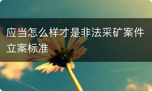 应当怎么样才是非法采矿案件立案标准