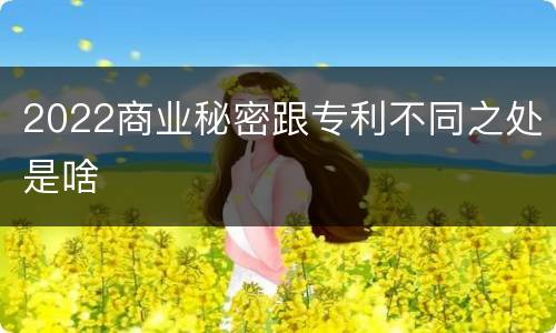 2022商业秘密跟专利不同之处是啥