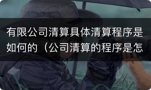 有限公司清算具体清算程序是如何的（公司清算的程序是怎样的）