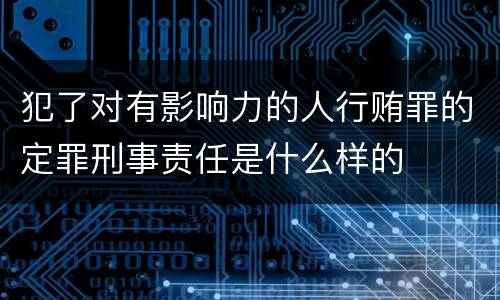 犯了对有影响力的人行贿罪的定罪刑事责任是什么样的