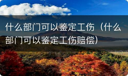 什么部门可以鉴定工伤（什么部门可以鉴定工伤赔偿）