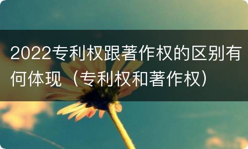 2022专利权跟著作权的区别有何体现（专利权和著作权）