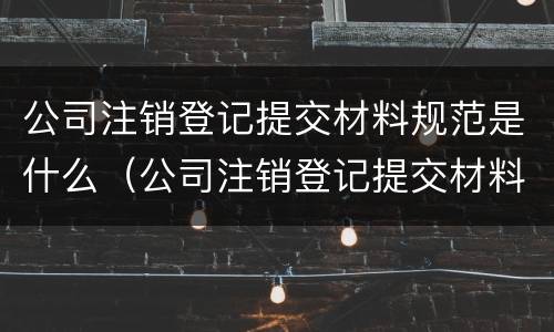 公司注销登记提交材料规范是什么（公司注销登记提交材料规范是什么样的）