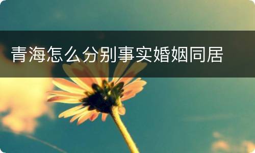 青海怎么分别事实婚姻同居