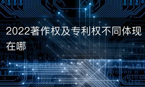 2022著作权及专利权不同体现在哪