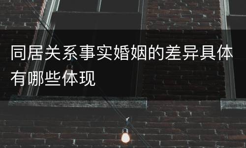 同居关系事实婚姻的差异具体有哪些体现