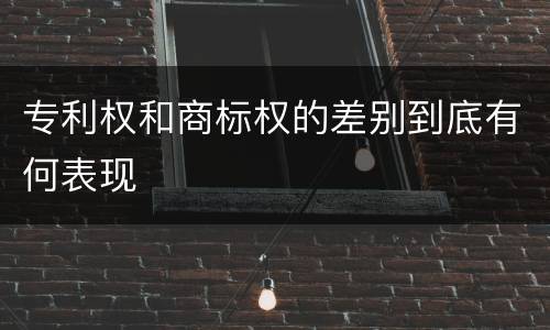 专利权和商标权的差别到底有何表现