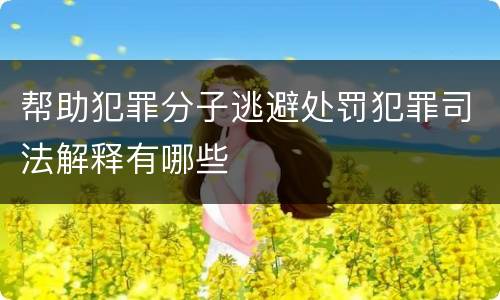 帮助犯罪分子逃避处罚犯罪司法解释有哪些