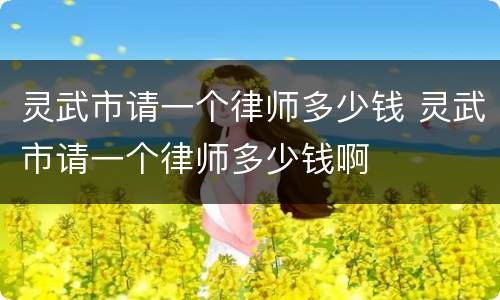 灵武市请一个律师多少钱 灵武市请一个律师多少钱啊