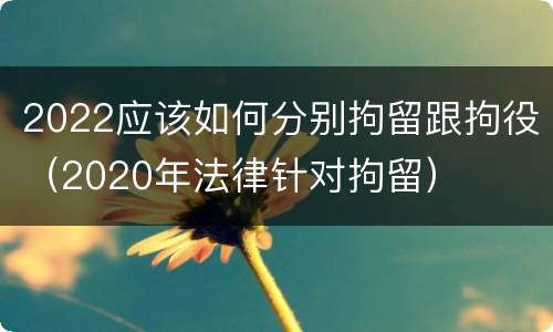 2022应该如何分别拘留跟拘役（2020年法律针对拘留）