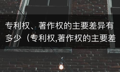 专利权、著作权的主要差异有多少（专利权,著作权的主要差异有多少项）