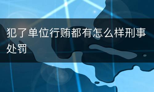 犯了单位行贿都有怎么样刑事处罚