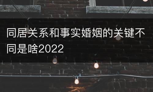 同居关系和事实婚姻的关键不同是啥2022