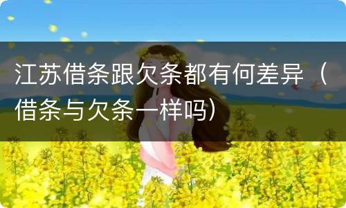 江苏借条跟欠条都有何差异（借条与欠条一样吗）