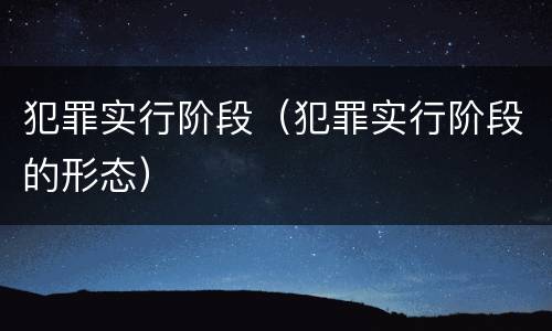 犯罪实行阶段（犯罪实行阶段的形态）