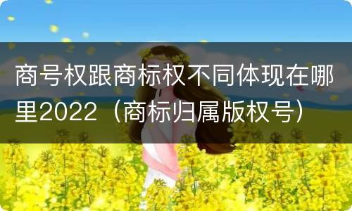 商号权跟商标权不同体现在哪里2022（商标归属版权号）