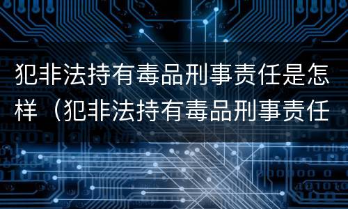 犯非法持有毒品刑事责任是怎样（犯非法持有毒品刑事责任是怎样划分的）