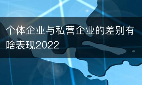 个体企业与私营企业的差别有啥表现2022