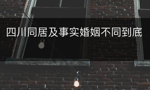 四川同居及事实婚姻不同到底