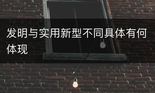 发明与实用新型不同具体有何体现