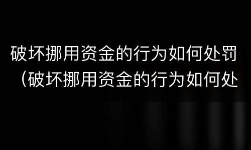 破坏挪用资金的行为如何处罚（破坏挪用资金的行为如何处罚他）