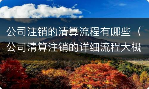 公司注销的清算流程有哪些（公司清算注销的详细流程大概需要多长时间）
