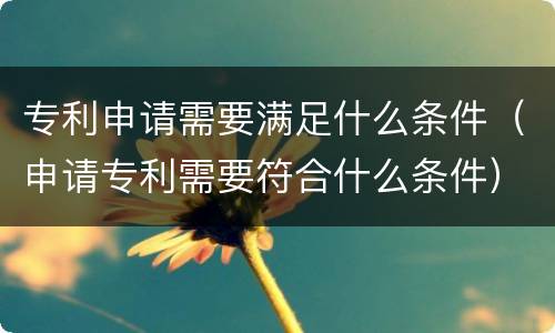 专利申请需要满足什么条件（申请专利需要符合什么条件）
