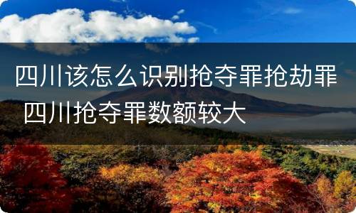 四川该怎么识别抢夺罪抢劫罪 四川抢夺罪数额较大