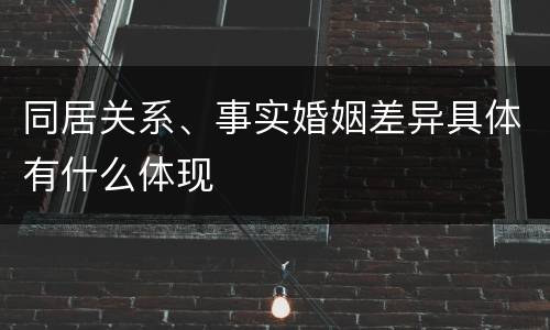 同居关系、事实婚姻差异具体有什么体现