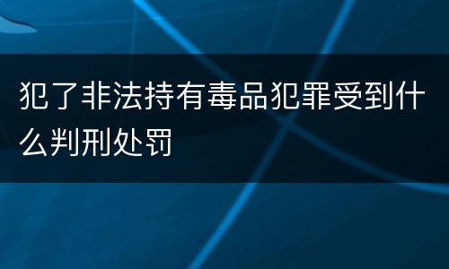 犯了非法持有毒品犯罪受到什么判刑处罚