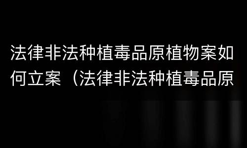 法律非法种植毒品原植物案如何立案（法律非法种植毒品原植物案如何立案审理）