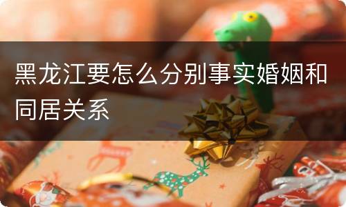 黑龙江要怎么分别事实婚姻和同居关系