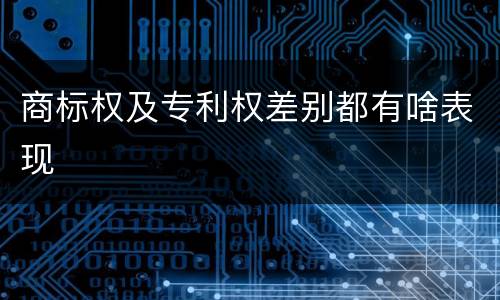 商标权及专利权差别都有啥表现
