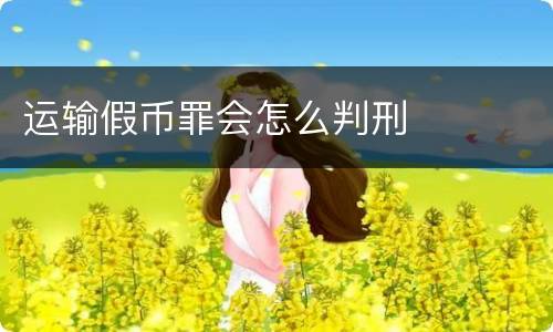 运输假币罪会怎么判刑