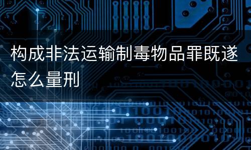 构成非法运输制毒物品罪既遂怎么量刑