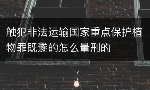 触犯非法运输国家重点保护植物罪既遂的怎么量刑的