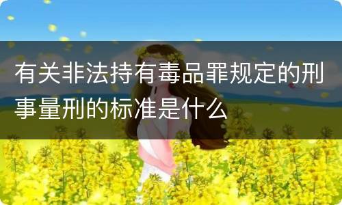 有关非法持有毒品罪规定的刑事量刑的标准是什么