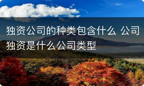 独资公司的种类包含什么 公司独资是什么公司类型