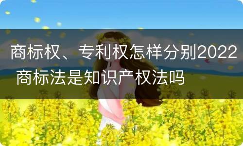 商标权、专利权怎样分别2022 商标法是知识产权法吗