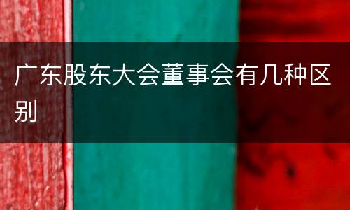 广东股东大会董事会有几种区别
