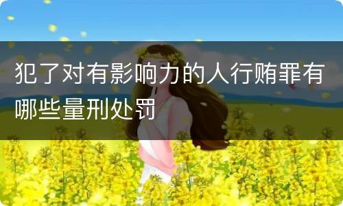犯了对有影响力的人行贿罪有哪些量刑处罚