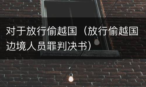 对于放行偷越国（放行偷越国边境人员罪判决书）