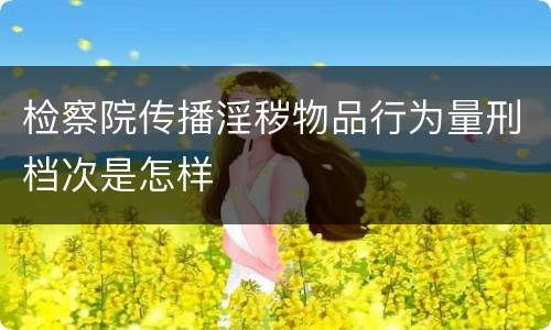 检察院传播淫秽物品行为量刑档次是怎样