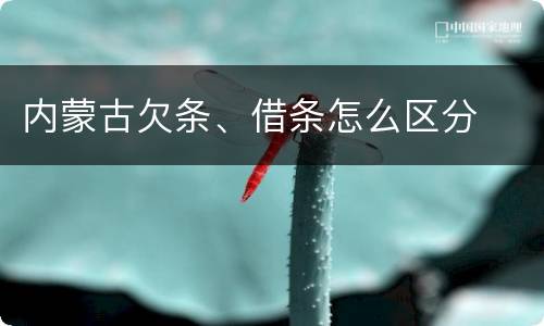 内蒙古欠条、借条怎么区分