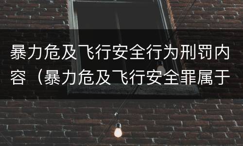 暴力危及飞行安全行为刑罚内容（暴力危及飞行安全罪属于行为犯）