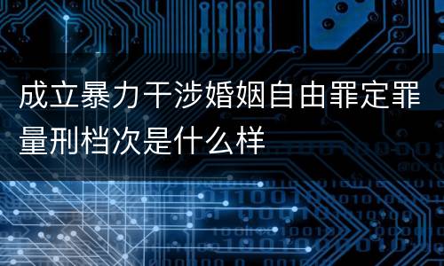 成立暴力干涉婚姻自由罪定罪量刑档次是什么样
