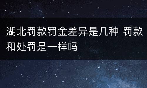 湖北罚款罚金差异是几种 罚款和处罚是一样吗
