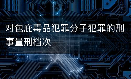 对包庇毒品犯罪分子犯罪的刑事量刑档次