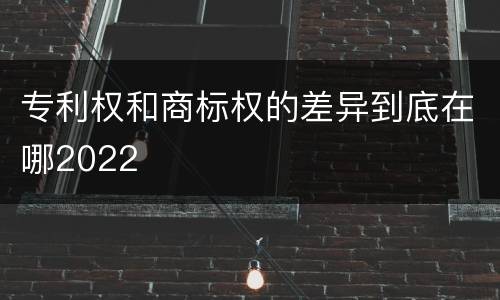 专利权和商标权的差异到底在哪2022