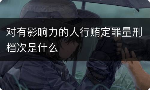 对有影响力的人行贿定罪量刑档次是什么